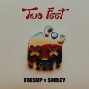 Toesup Smiley Two Feet