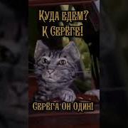 Куда Едем К Сереге