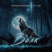 Волк Братья Егоровы