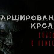 Фаршированный Кролик Страшная История