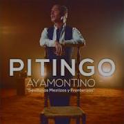 Pitingo Ayamontino Quot Sevillanas Mestizas Y Fronterizas Quot