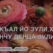 Дала Декъал Йойл Хьо Зулихан