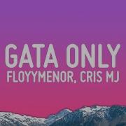 Gata Only Morry X Jorda Edit Floyymenor Chris Mj