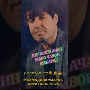 Махмадали Умар Чанги Ачал