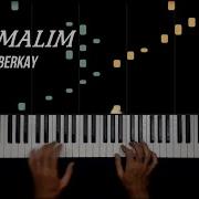 Selvi Boylum Al Yazmalim Piano Cover