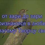 От Зари До Зари Вся Слава Богу