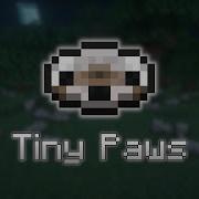 Tiny Paws Fan Made Minecraft Music Disc