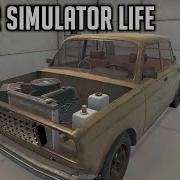 Driver Simulator Life