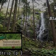 Blackforest Park