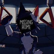 Missing Home Meme