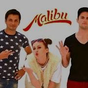 Cover Band Malibu Кавер Группа Минск Кавер Бэнд