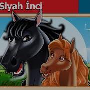 Siyah Inci