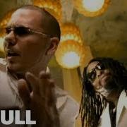 Pitbull Toma