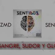 Sangre Sudor Y Gloria Icko Zmd