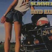 David Harleyson In The Summertime Remix