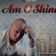 Amo Shine