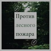 Тайга Ирина Северова
