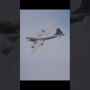 Бомондиро Крокодило Фонг