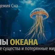 Лекция Для Сна Океан