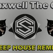 Maxwell The Cat Samstring Remix