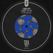 Flight 101 Original Mix Timid Boy