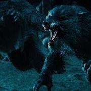 10 Best Werewolves In Movies