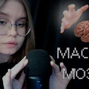 Asmr Который Быстро Стимулирует Мозг