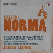 Norma Act 1 Me Protegge Me Difende Enrico Di Giuseppe James Levine