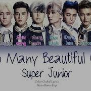 Too Many Beautiful Girls Super Junior