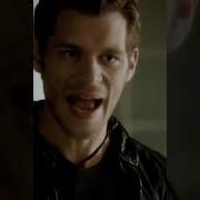 You Don T Have To Scared Of Klaus But Elijah Most Dangerous Shorts Trending Reels Shortsvideo Red Rose