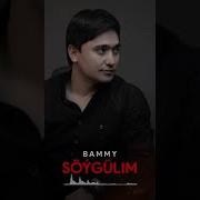 Bammy Soygulim