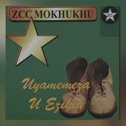 Dj Tukzin X Zcc Mokhukhu Tshivhidzelwa Amapiano Remix Instant Share Sa