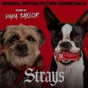 Strays Soundtrack Dana