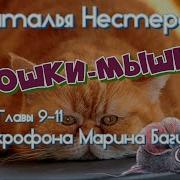 Игра В Кошки Мышки Аудиокнига