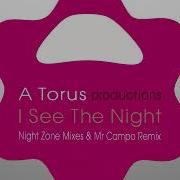 I See The Night Night Zone A Torus Toru S