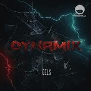 Eels Dynamix