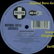 Natural Born Grooves Groovebird