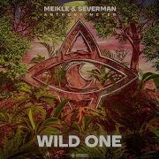 Meikle Severman Anthony Meyer Wild One