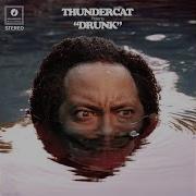 Captain Stupido Thundercat