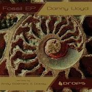Danny Lloyd Fossil