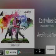 Cartwheels Iambyrd