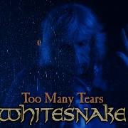 Whaitesnake 2024 Ful Album In The Ligt Remix