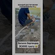 Анекдоты Сборник Лучших