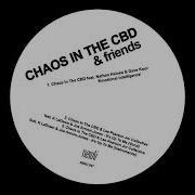 Chaos In The Cbd Emotional Intelligence Feat Nathan Haines Dave Koor