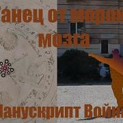 От Морока Кононов