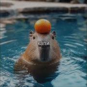Я Капибара Я Пушистая