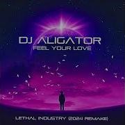 Dj Alligator 2024