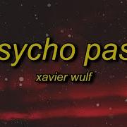 Psycho Pass Xavier Wulf Tiktok Version