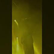 Элджей Коста Лакоста Акварель