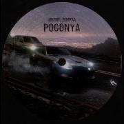 Pogonya Lostvpe